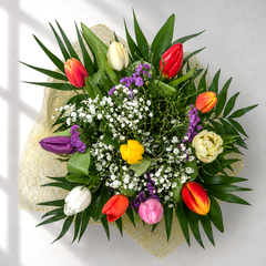 Farebná kytica z tulipánov s gypsomilkou a dekoratívnou zeleňou v elegantnom žltom balení – Kvety Lubka Bratislava
