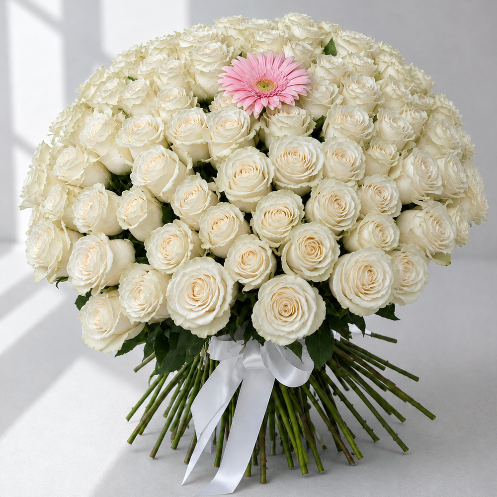Luxusná kytica zo 100 bielych ruží s jednou ružovou gerberou a elegantnou bielou stuhou – Kvety Lubka Bratislava