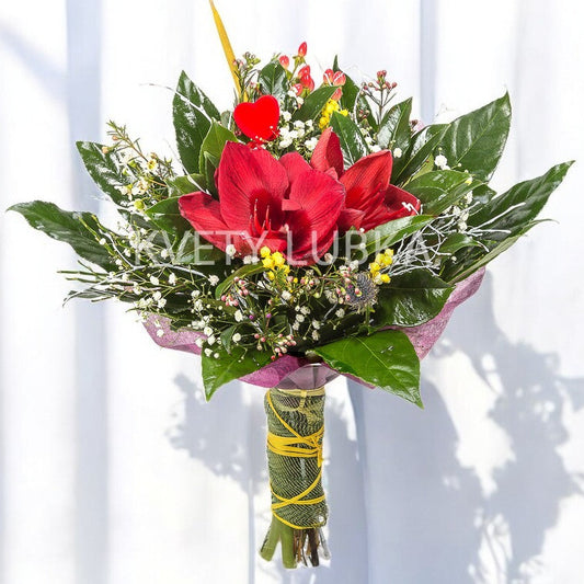 RED AMARYLLIS