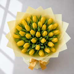 Kytica z 25 žltých tulipánov v elegantnom svetlom floristickom balení so žltou stuhou – Kvety Lubka Bratislava