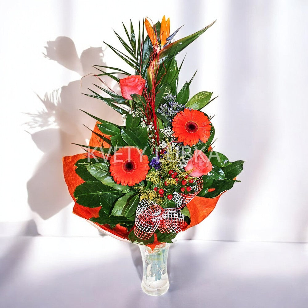 ORANGE CELEBRATE