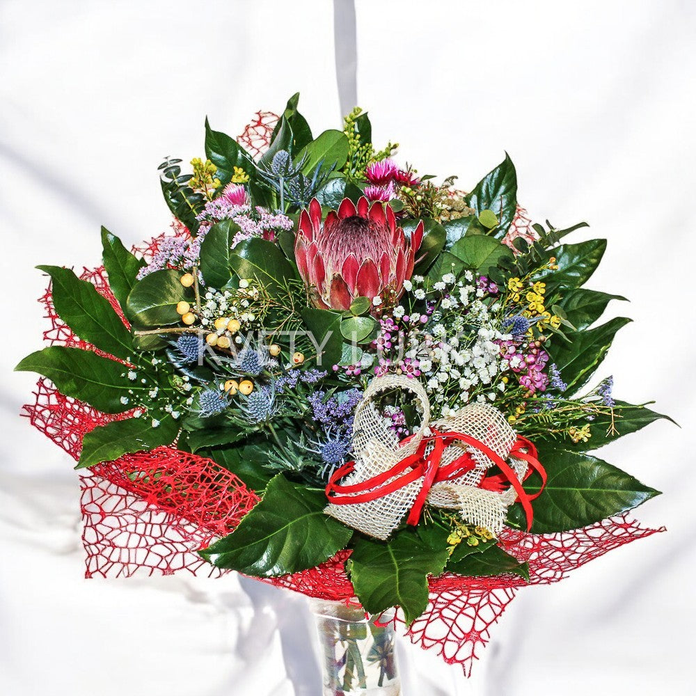 PROTEA QUEEN