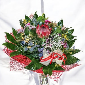 PROTEA QUEEN