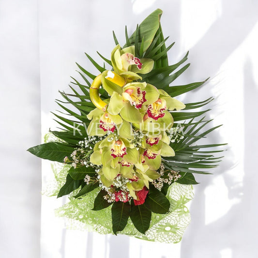 ORCHIDEA «Veľká» (6 farieb)