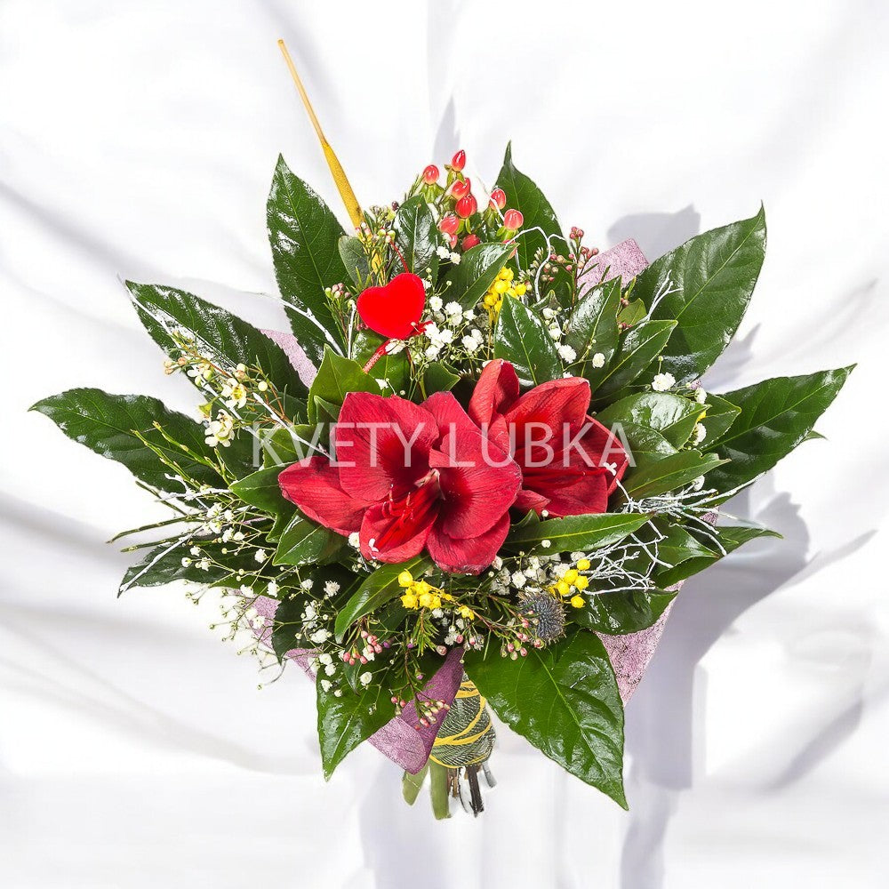 RED AMARYLLIS