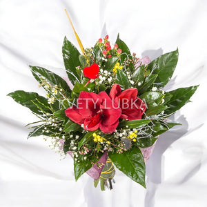 RED AMARYLLIS